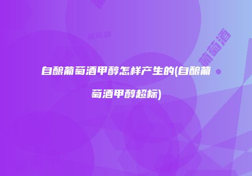 自酿葡萄酒甲醇怎样产生的(自酿葡萄酒甲醇超标)