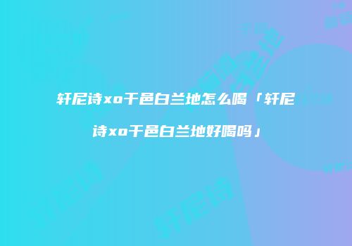 轩尼诗xo干邑白兰地怎么喝「轩尼诗xo干邑白兰地好喝吗」