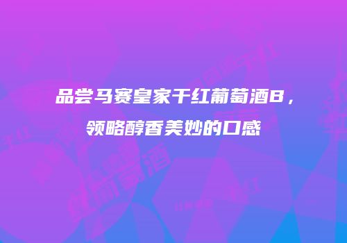 品尝马赛皇家干红葡萄酒B，领略醇香美妙的口感