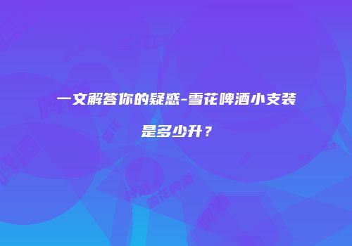 一文解答你的疑惑-雪花啤酒小支装是多少升？