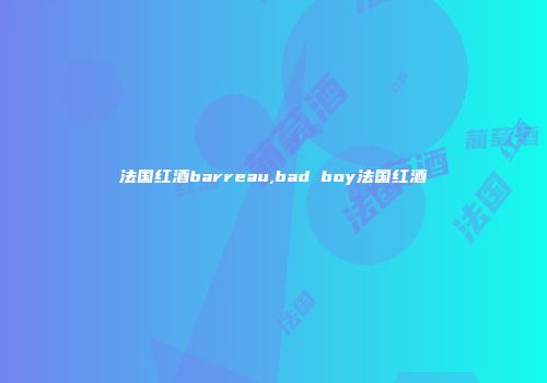法国红酒barreau,bad boy法国红酒