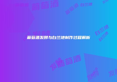 葡萄酒发酵与白兰地制作过程解析