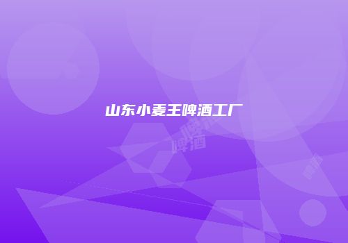 山东小麦王啤酒工厂