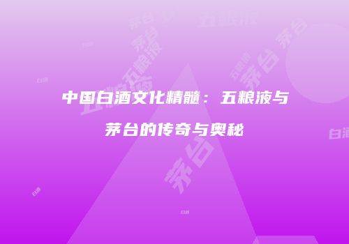 中国白酒文化精髓：五粮液与茅台的传奇与奥秘