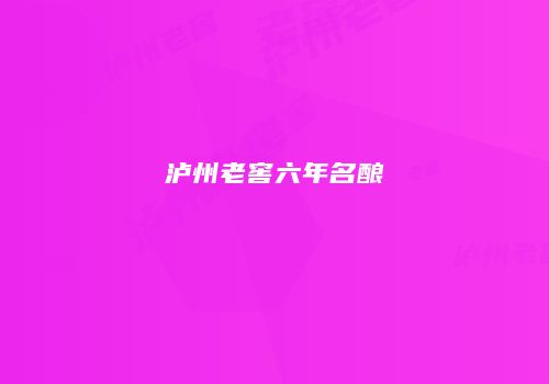 泸州老窖六年名酿