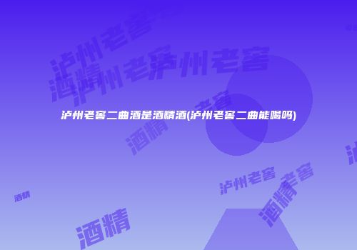 泸州老窖二曲酒是酒精酒(泸州老窖二曲能喝吗)