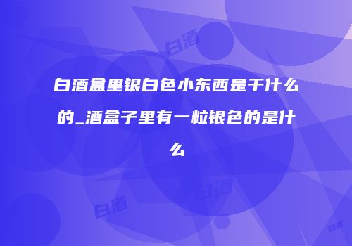 白酒盒里银白色小东西是干什么的_酒盒子里有一粒银色的是什么