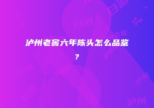 泸州老窖六年陈头怎么品鉴?