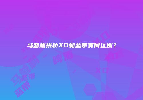 马爹利拱桥XO和蓝带有何区别？