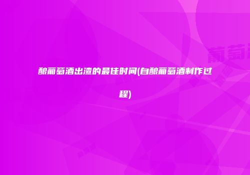 酿葡萄酒出渣的最佳时间(自酿葡萄酒制作过程)