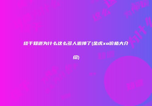 终于知道为什么这么多人追捧了(金虎xo价格大介绍)