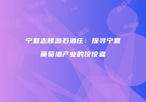 宁夏志辉源石酒庄：探寻宁夏葡萄酒产业的佼佼者