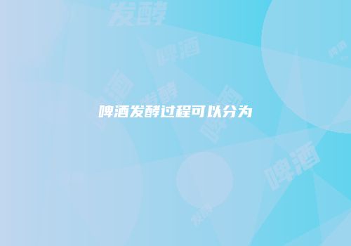啤酒发酵过程可以分为