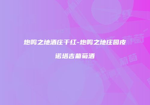 炮鸣之地酒庄干红-炮鸣之地庄园皮诺塔吉葡萄酒