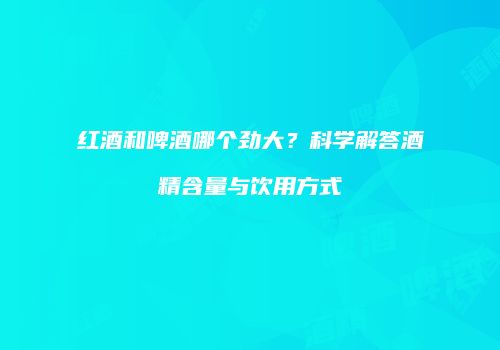 红酒和啤酒哪个劲大？科学解答酒精含量与饮用方式