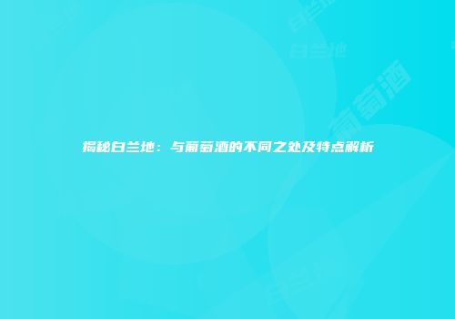 揭秘白兰地：与葡萄酒的不同之处及特点解析