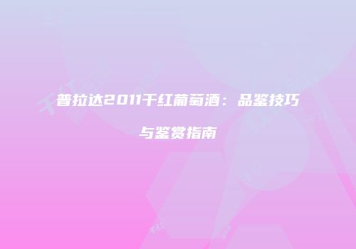 普拉达2011干红葡萄酒：品鉴技巧与鉴赏指南