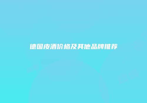 德国皮酒价格及其他品牌推荐