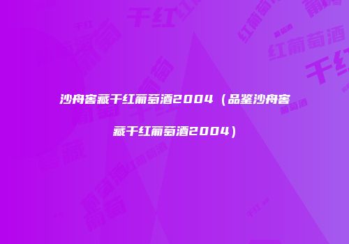 沙舟窖藏干红葡萄酒2004（品鉴沙舟窖藏干红葡萄酒2004）
