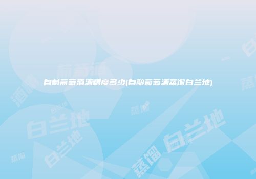 自制葡萄酒酒精度多少(自酿葡萄酒蒸馏白兰地)
