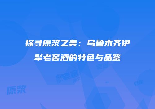 探寻原浆之美：乌鲁木齐伊犁老窖酒的特色与品鉴