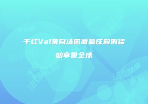 干红Val来自法国葡萄庄园的佳酿享誉全球