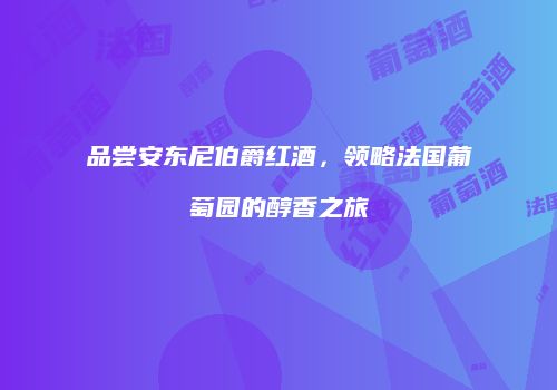 品尝安东尼伯爵红酒，领略法国葡萄园的醇香之旅