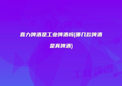 喜力啤酒是工业啤酒吗(哪几款啤酒是真啤酒)