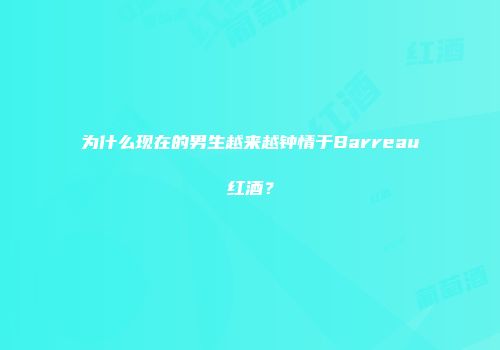 为什么现在的男生越来越钟情于Barreau红酒？