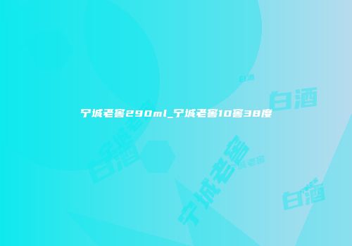 宁城老窖290ml_宁城老窖10窖38度
