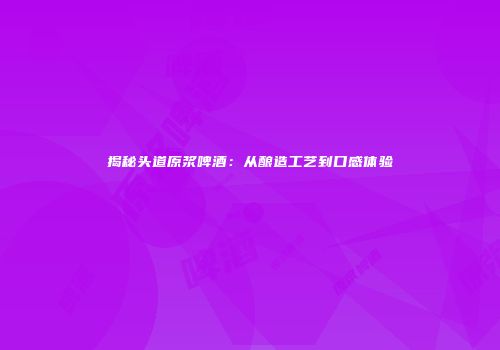 揭秘头道原浆啤酒：从酿造工艺到口感体验