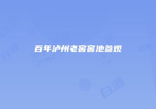 百年泸州老窖窖池参观
