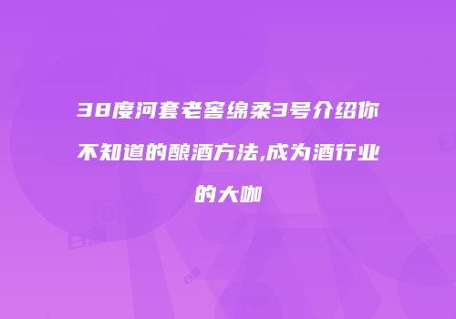 38度河套老窖绵柔3号介绍你不知道的酿酒方法,成为酒行业的大咖