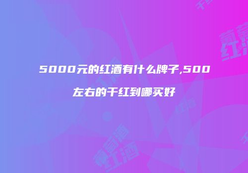 5000元的红酒有什么牌子,500左右的干红到哪买好