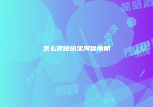 怎么查德国黑啤保质期