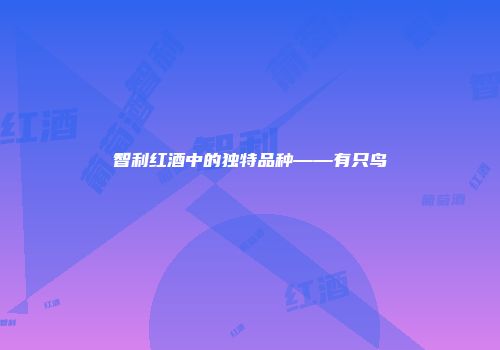 智利红酒中的独特品种——有只鸟