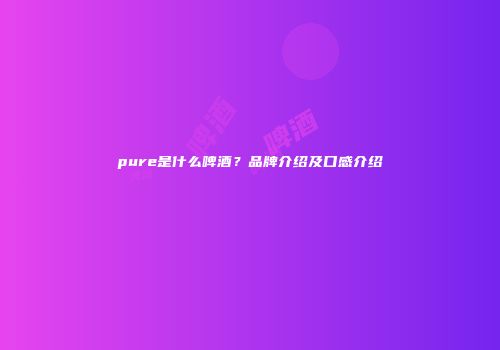 pure是什么啤酒？品牌介绍及口感介绍