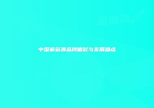 中国葡萄酒品牌崛起与发展盘点