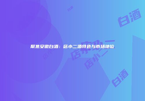 聚焦安徽白酒：店小二酒特色与市场地位