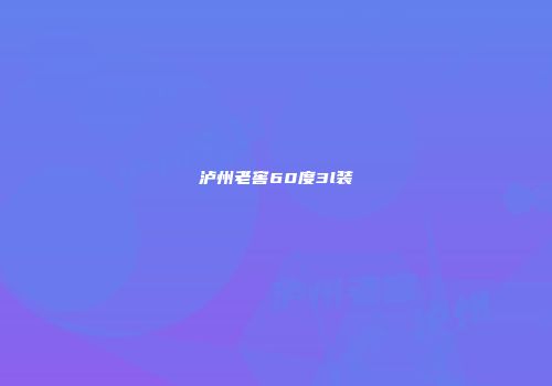 泸州老窖60度3l装