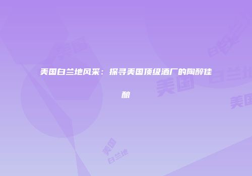 美国白兰地风采：探寻美国顶级酒厂的陶醉佳酿