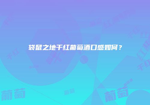 袋鼠之地干红葡萄酒口感如何？