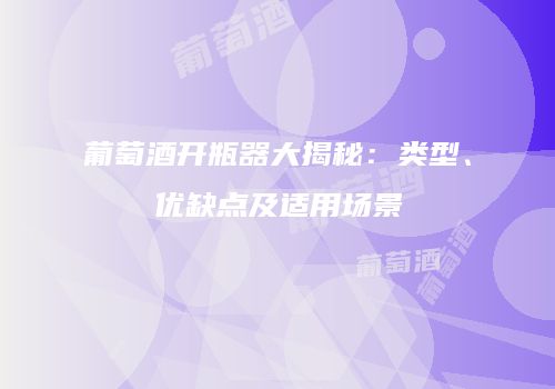葡萄酒开瓶器大揭秘：类型、优缺点及适用场景