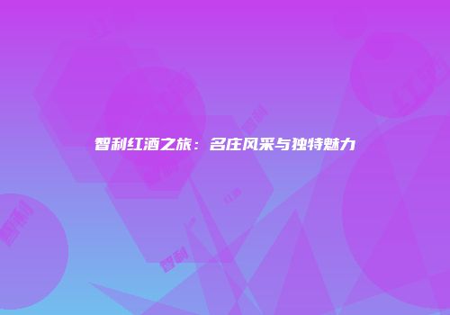 智利红酒之旅：名庄风采与独特魅力