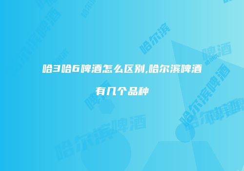哈3哈6啤酒怎么区别,哈尔滨啤酒有几个品种