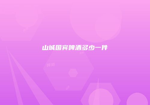 山城国宾啤酒多少一件