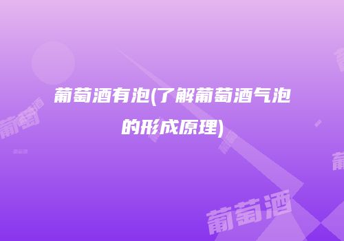 葡萄酒有泡(了解葡萄酒气泡的形成原理)