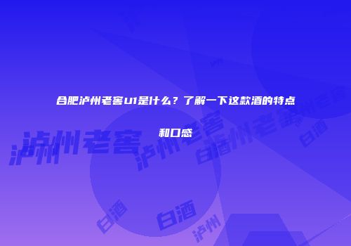 合肥泸州老窖U1是什么？了解一下这款酒的特点和口感