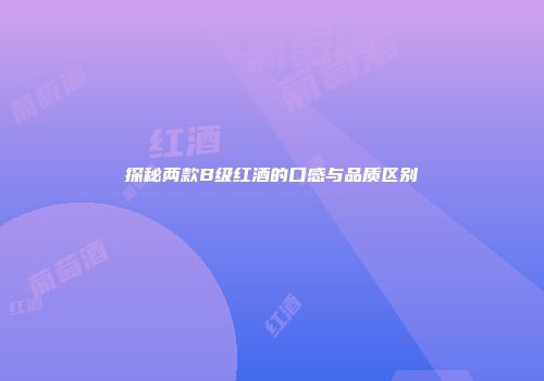 探秘两款B级红酒的口感与品质区别