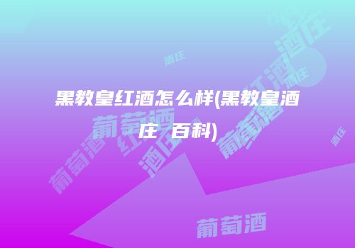 黑教皇红酒怎么样(黑教皇酒庄 百科)